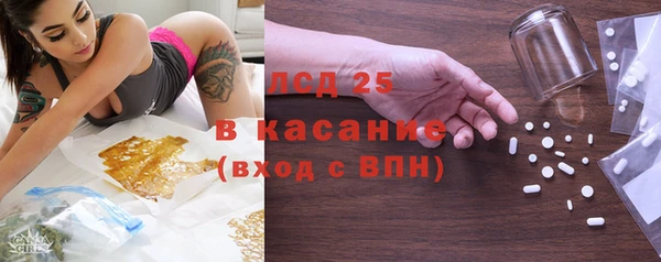 прущие грибы Беломорск