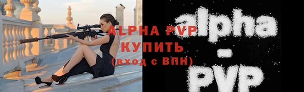 прущие грибы Беломорск