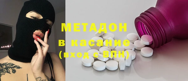 прущие грибы Беломорск