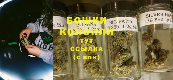 прущие грибы Беломорск