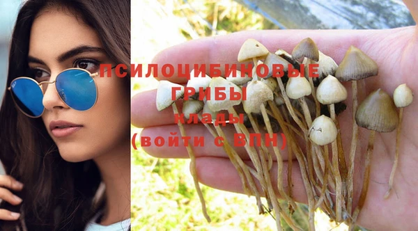 синтетический гашиш Белокуриха