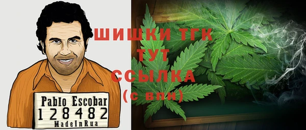 прущие грибы Беломорск