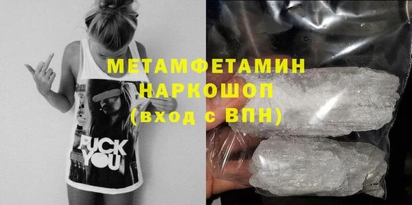 прущие грибы Беломорск